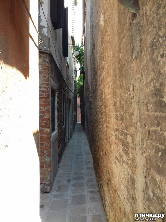 ���� 7: �������