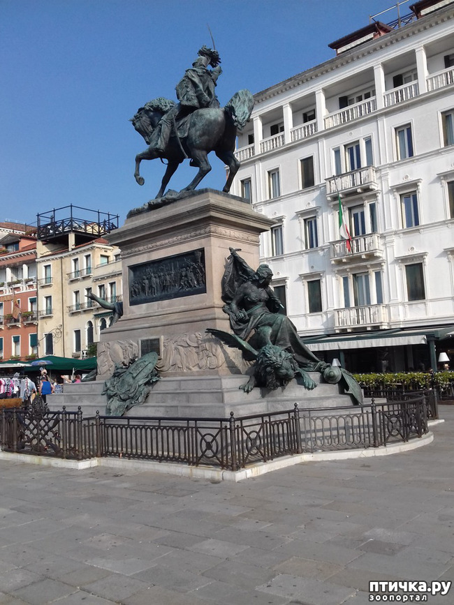 ���� 8: �������