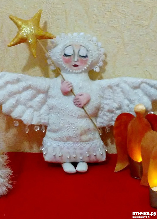 ���� 6: ��������� ��������� ����!