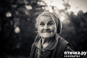 ����: ����, ��� ����� ����� ���������!