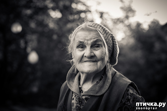 ���� 1: ����, ��� ����� ����� ���������!