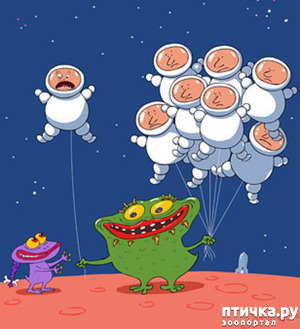 ����: ������������ � �����-����������...