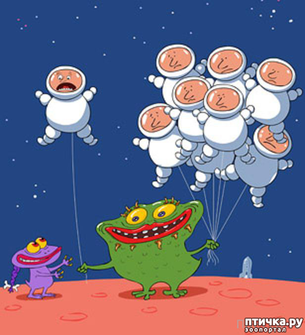 ���� 1: ������������ � �����-����������...