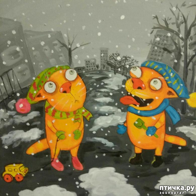 ���� 3: � ������, � �� � ������