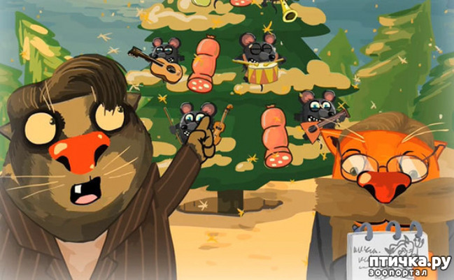 ���� 5: � ������, � �� � ������