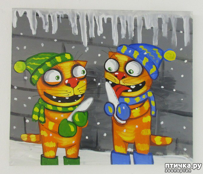 ���� 14: � ������, � �� � ������