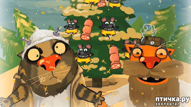 ���� 15: � ������, � �� � ������