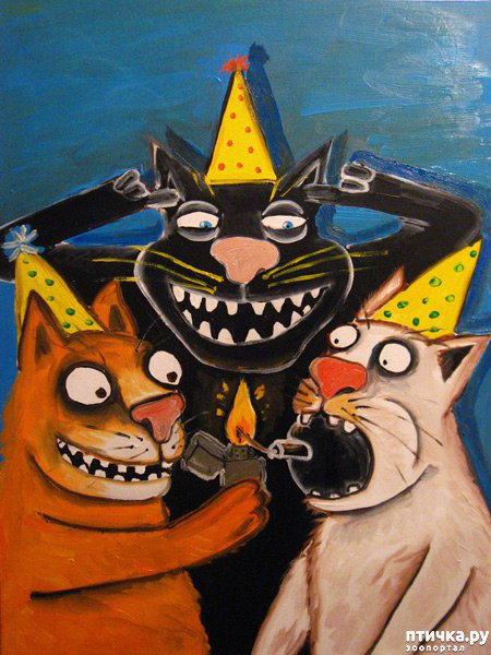 ���� 17: � ������, � �� � ������