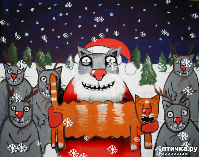 ���� 18: � ������, � �� � ������