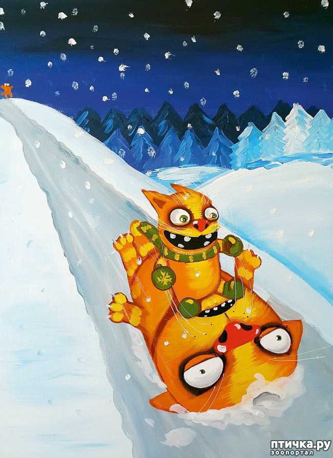 ���� 19: � ������, � �� � ������