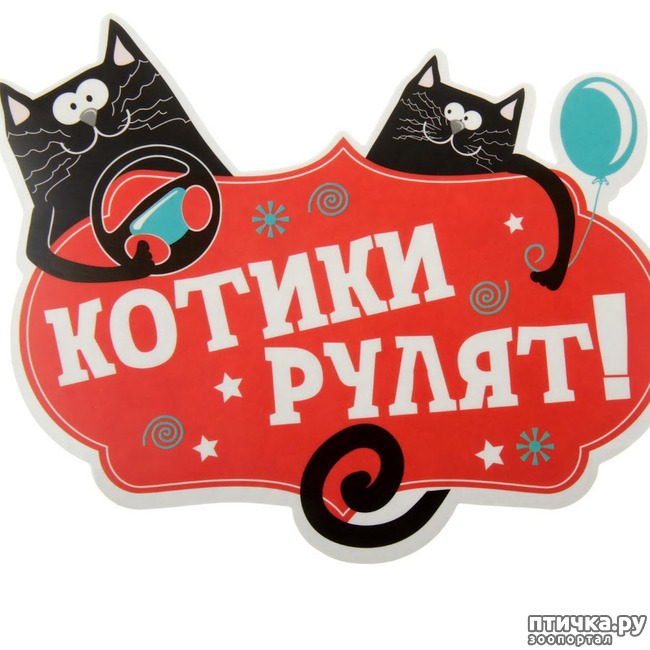 ���� 1: � ������, � �� � ������