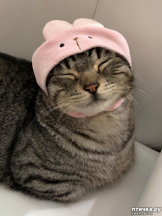 ���� 14: ������� ��������, �������� �� ������������)