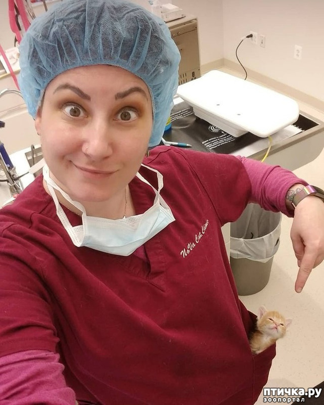 ���� 15: ������� ��������, �������� �� ������������)