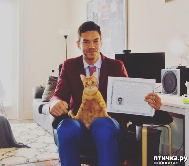 ���� 16: ������� ��������, �������� �� ������������)