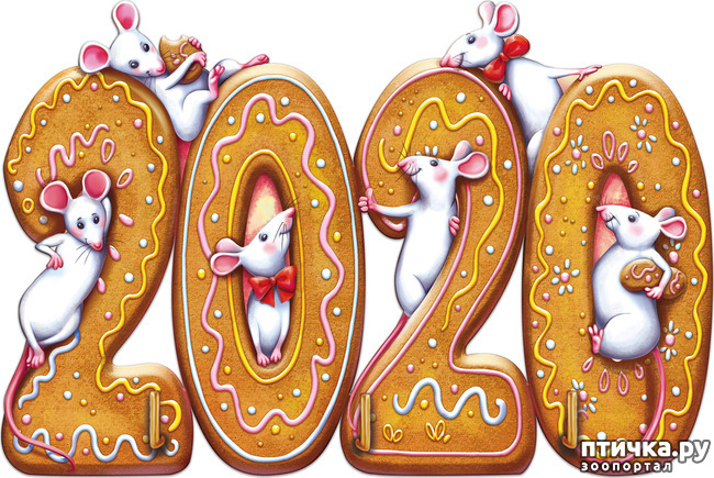 ���� 1: � ����� �����, � ����� ��������, ������� ��� ������!