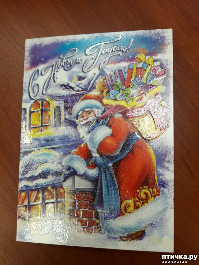 ���� 3: ��� �������