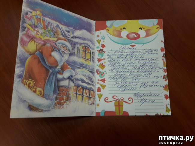 ���� 4: ��� �������