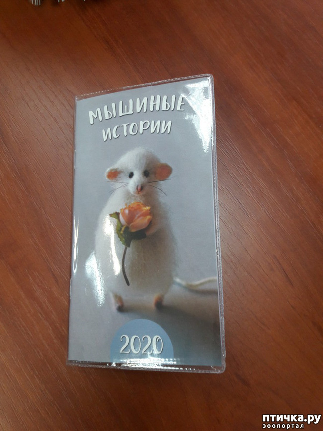 ���� 5: ��� �������