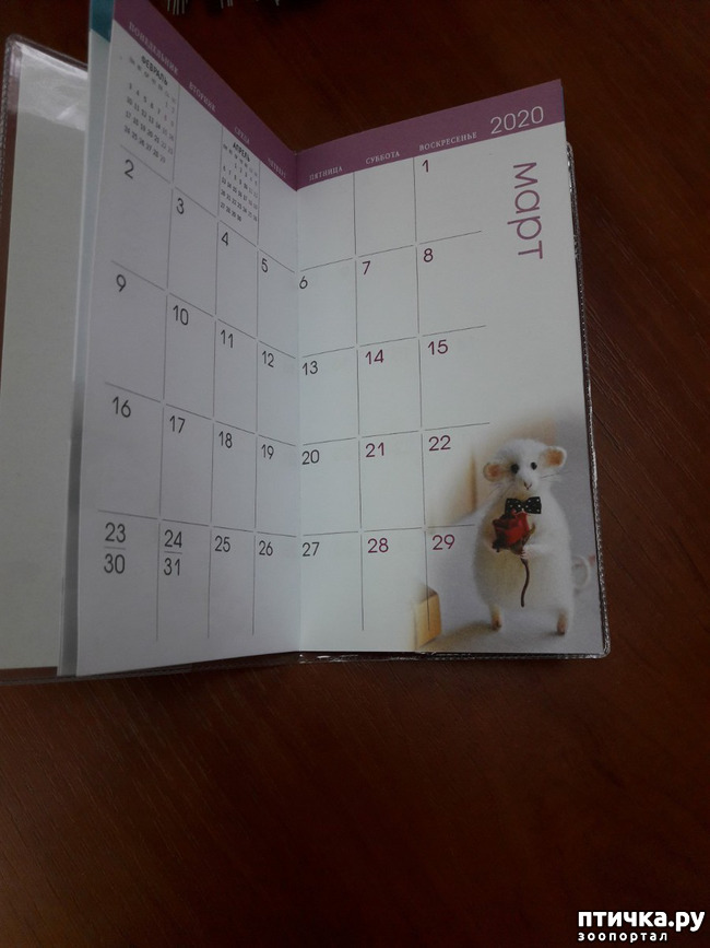 ���� 6: ��� �������