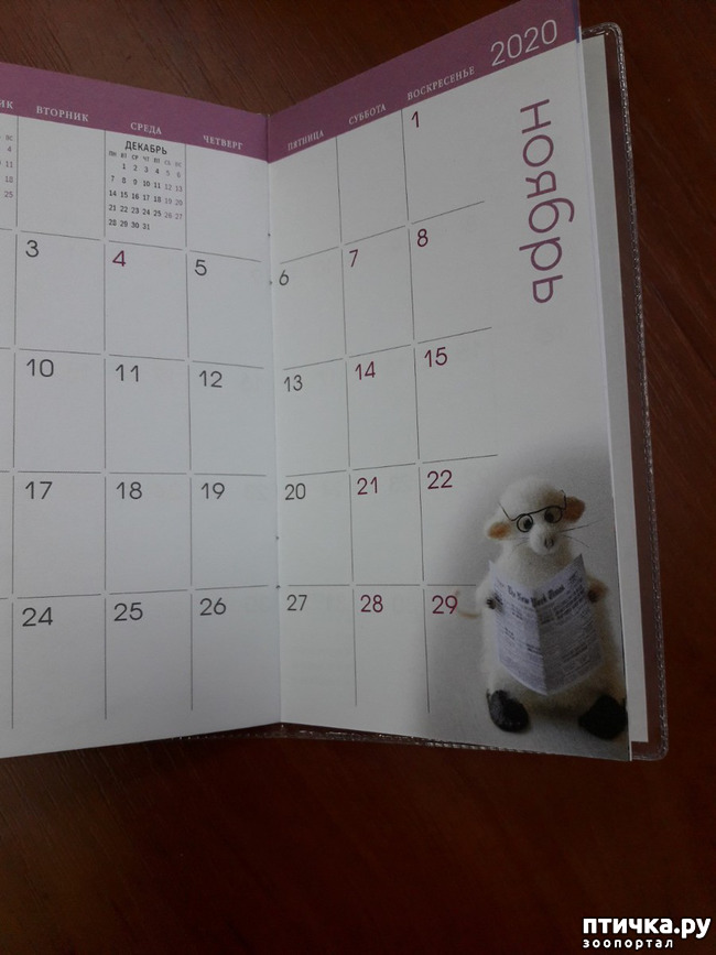 ���� 7: ��� �������