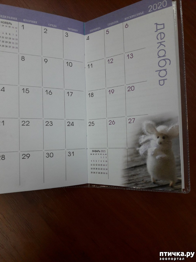 ���� 8: ��� �������