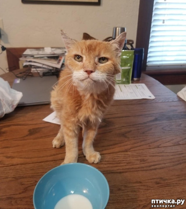 ���� 17: ������� ��������, �������� �� ������������)