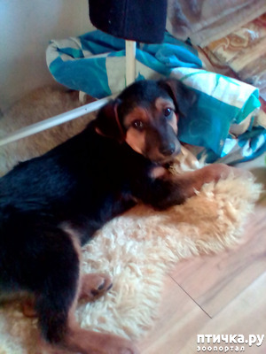 ����: � ����� ����� �������!