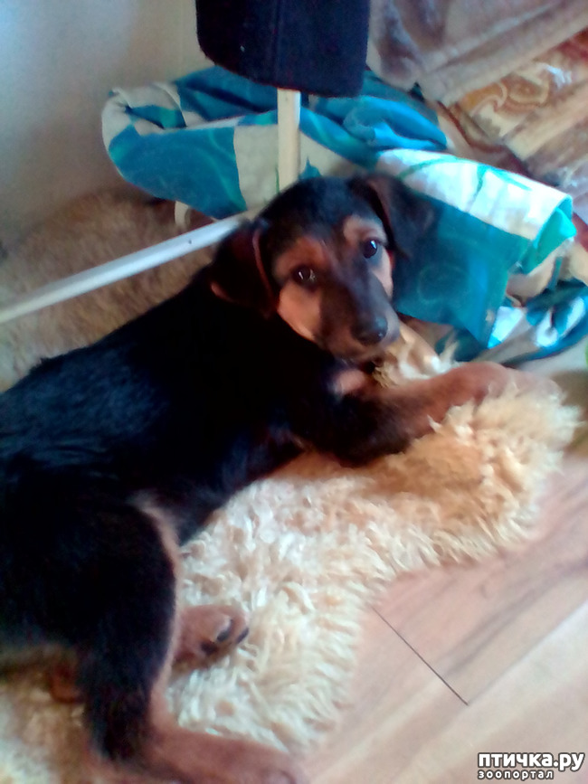 ���� 1: � ����� ����� �������!