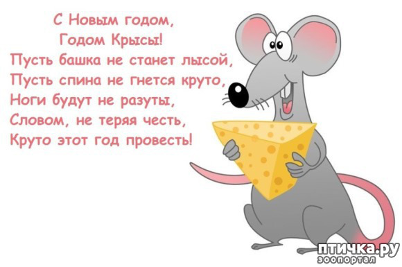 ���� 6: � ����������� ����� 2020 �����!:)