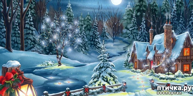 ���� 7: � ����������� ����� 2020 �����!:)