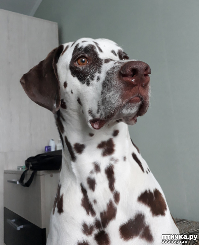 ���� 1: ���������. �����������...