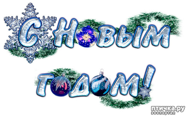 ���� 5: � ����� �����, � ����� ��������, ������� ��� ������!