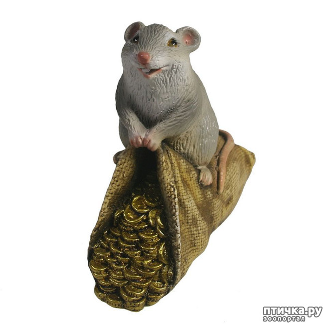 ���� 8: � ����� �����, � ����� ��������, ������� ��� ������!