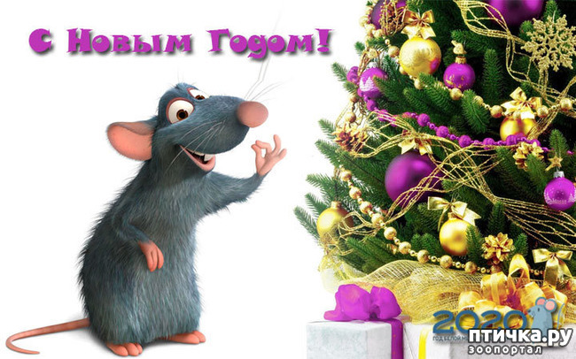 ���� 9: � ����� �����, � ����� ��������, ������� ��� ������!