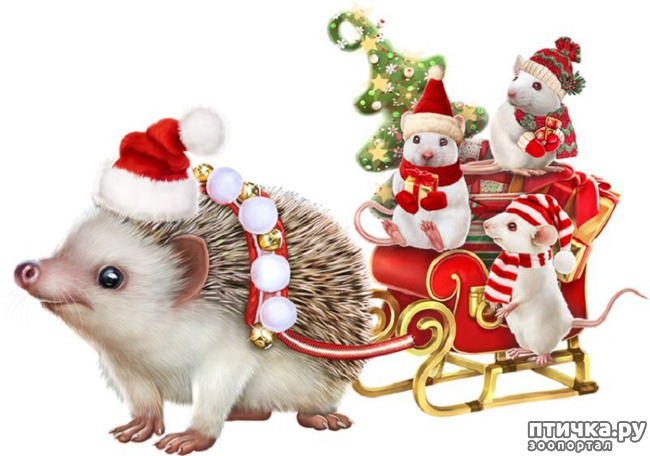 ���� 11: � ����� �����, � ����� ��������, ������� ��� ������!