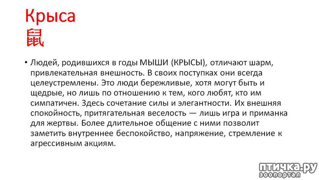 ���� 12: � ����� �����, � ����� ��������, ������� ��� ������!