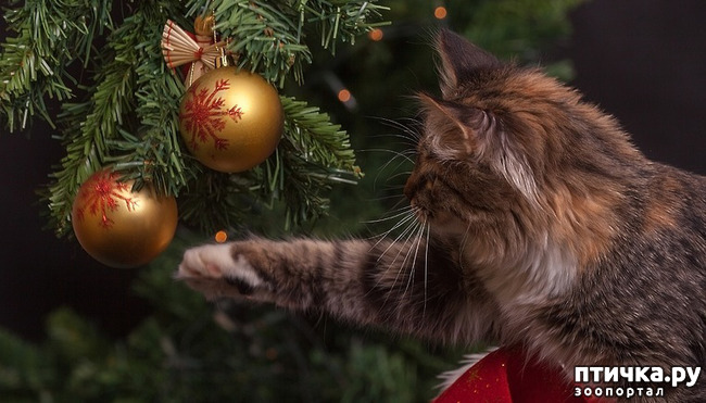 ���� 1: ����