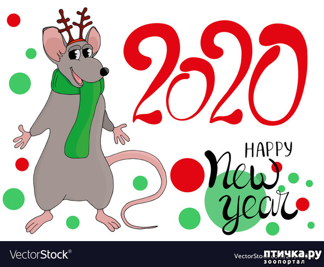 ���� 14: � ����� �����, � ����� ��������, ������� ��� ������!