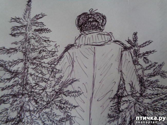 ���� 2: ����