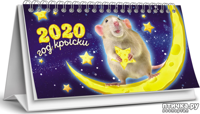 ���� 7: � ����� �����, � ����� ��������, ������� ��� ������!