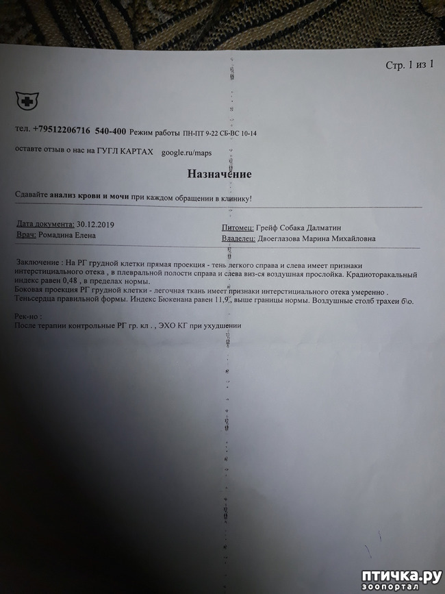 ���� 4: ���������. �����������...