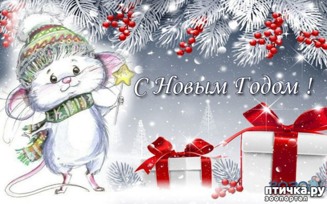 ���� 1: ���� � ����� �����!!!