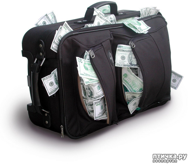 ���� 15: � ����� �����, � ����� ��������, ������� ��� ������!