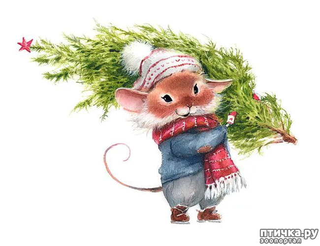 ���� 2: ���� � ����� �����!!!