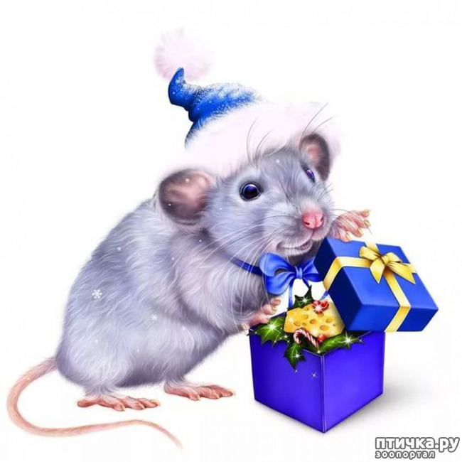 ���� 3: ���� � ����� �����!!!