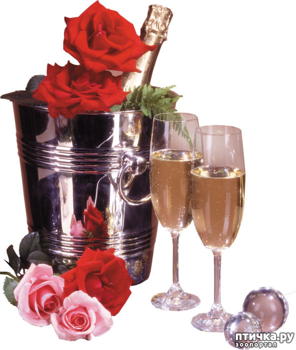 ���� 17: � ����� �����, � ����� ��������, ������� ��� ������!