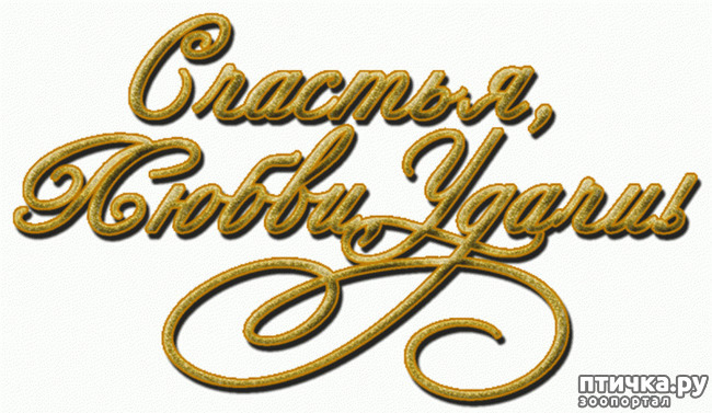 ���� 19: � ����� �����, � ����� ��������, ������� ��� ������!