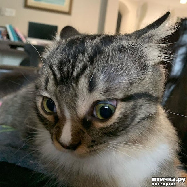 ���� 2: ������� ��������, �������� �� ������������)