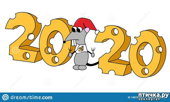 ���� 22: � ����� �����, � ����� ��������, ������� ��� ������!