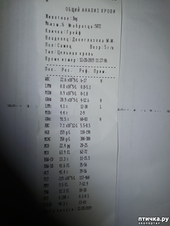 ���� 2: ���������. �����������...